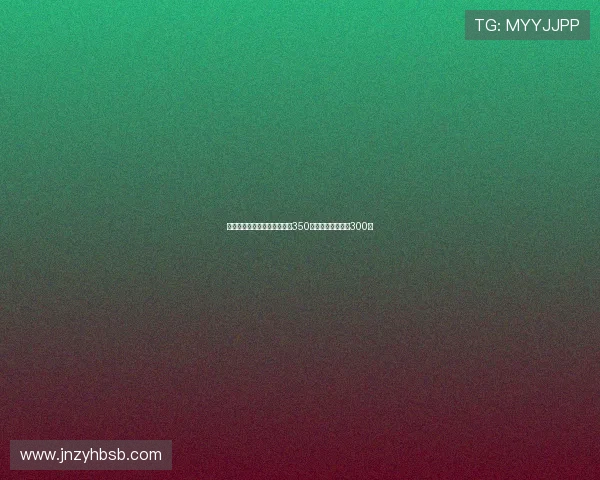 比萨租借阿金桑米罗国米拥有350万回购权买断费为300万